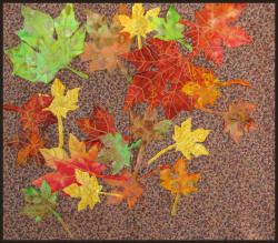 Maple Leaves Maple Leaves