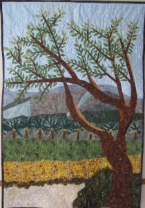 Fields of Kibbutz Shluhot