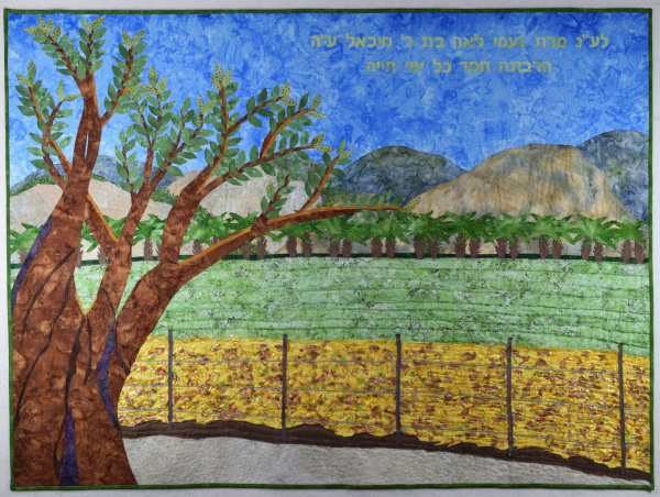Field near Mount Gilboa bima cover