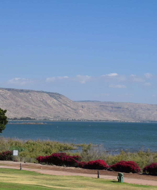 Photo for Shores of the Sea of Galilee
