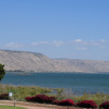 Photo for Shores of the Sea of Galilee